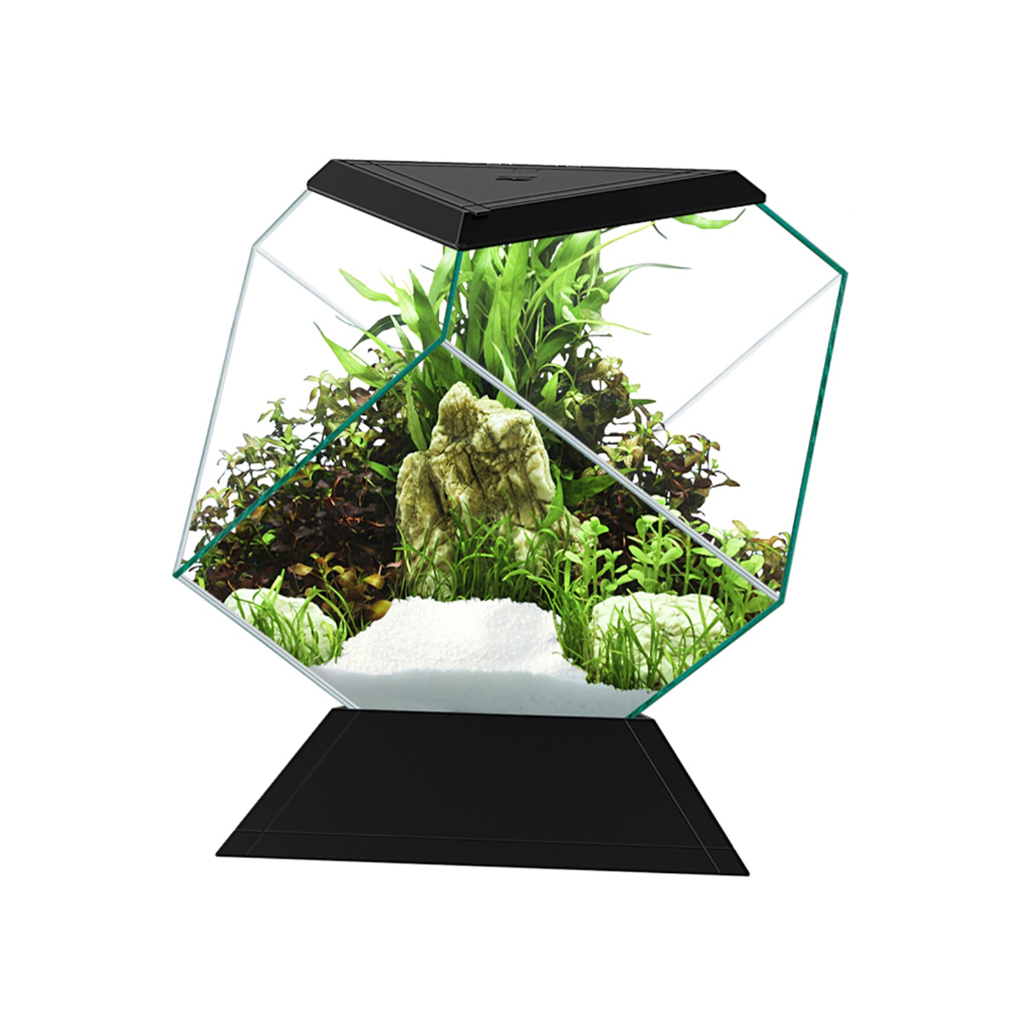 Akvarium Nexus Diamond Svart Ciano